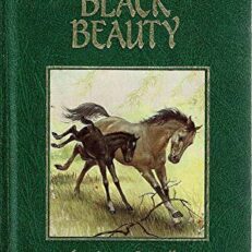 Black Beauty by Anna Sewell (Hardcover)