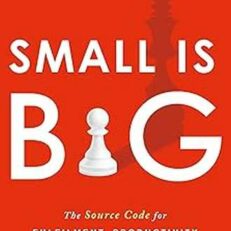Small Is Big : The Source Code for Fulfillment, Productivity, and Extraordinary Results by Amit Agarwal