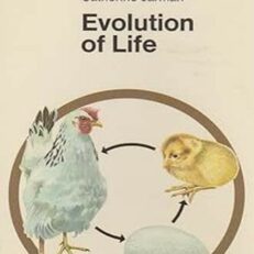 Evolution of Life by Catherine Jarman (Vintage 1970 Color Illustrated)
