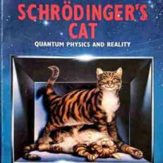 In Search Of Schrodingers Cat by John Gribbin