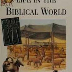 Life in the Biblical World by Reader's Digest (Color Illustrated Hardcover)