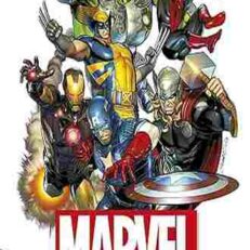 Marvel Year by Year: A Visual Chronicle by Peter Sanderson (Color Illustrated Hardcover)