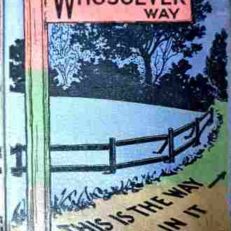 The Whosoever Way by Alexander Marshall (Vintage 1928 Illustrated Hardcover)
